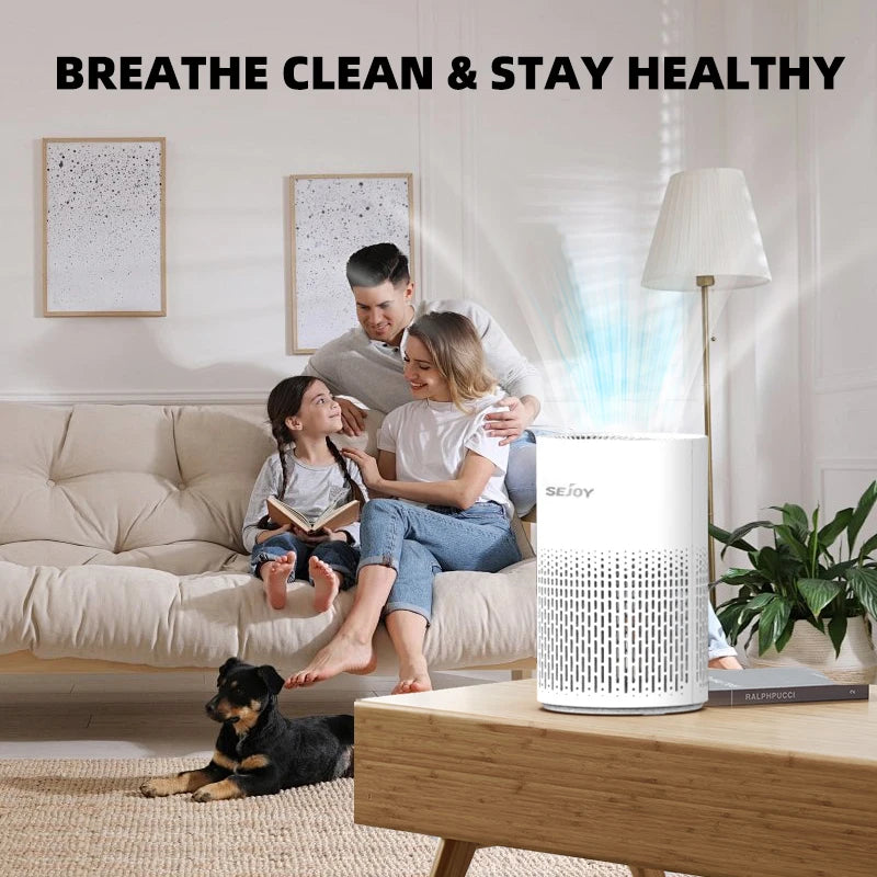 Air Purifier H13 True HEPA Filter