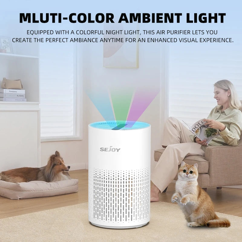 Air Purifier H13 True HEPA Filter