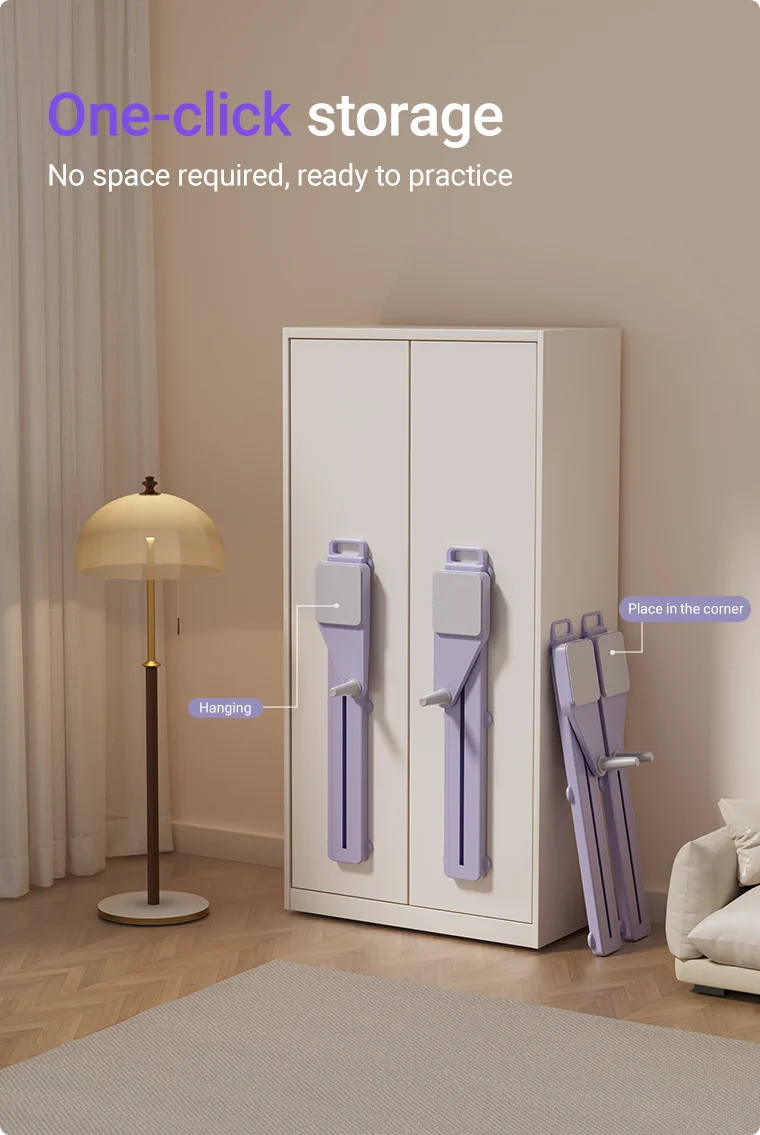 Abs & Ski Board - Portable Core/Leg Trainer