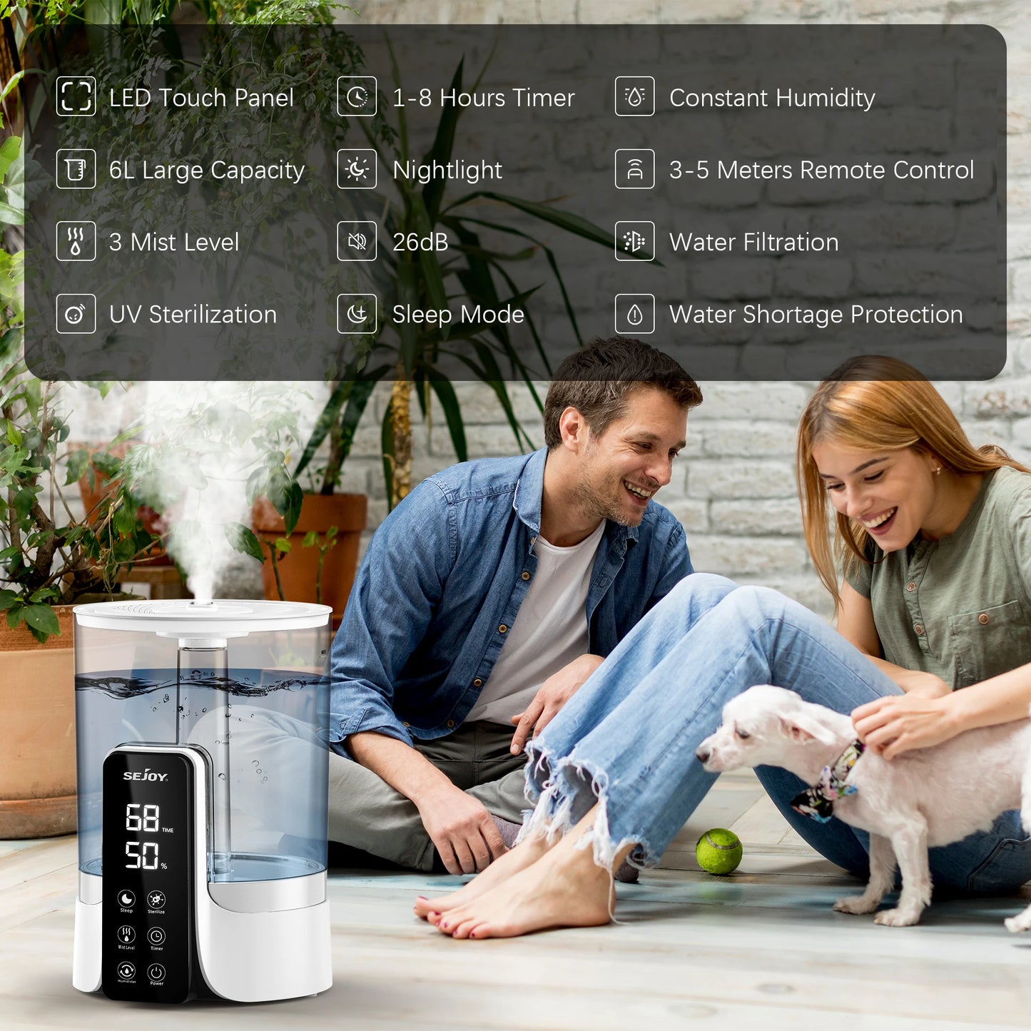 6L Air Humidifier Professional Large Capacity