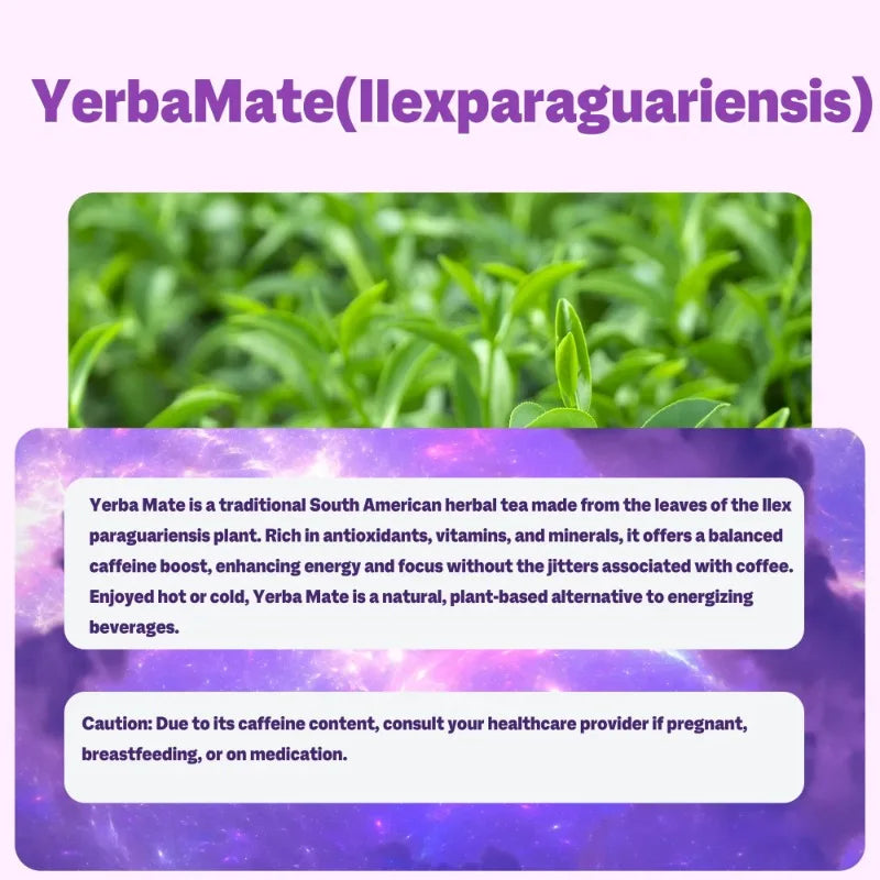Yerba Mate 3-in-1 Energy Supplement