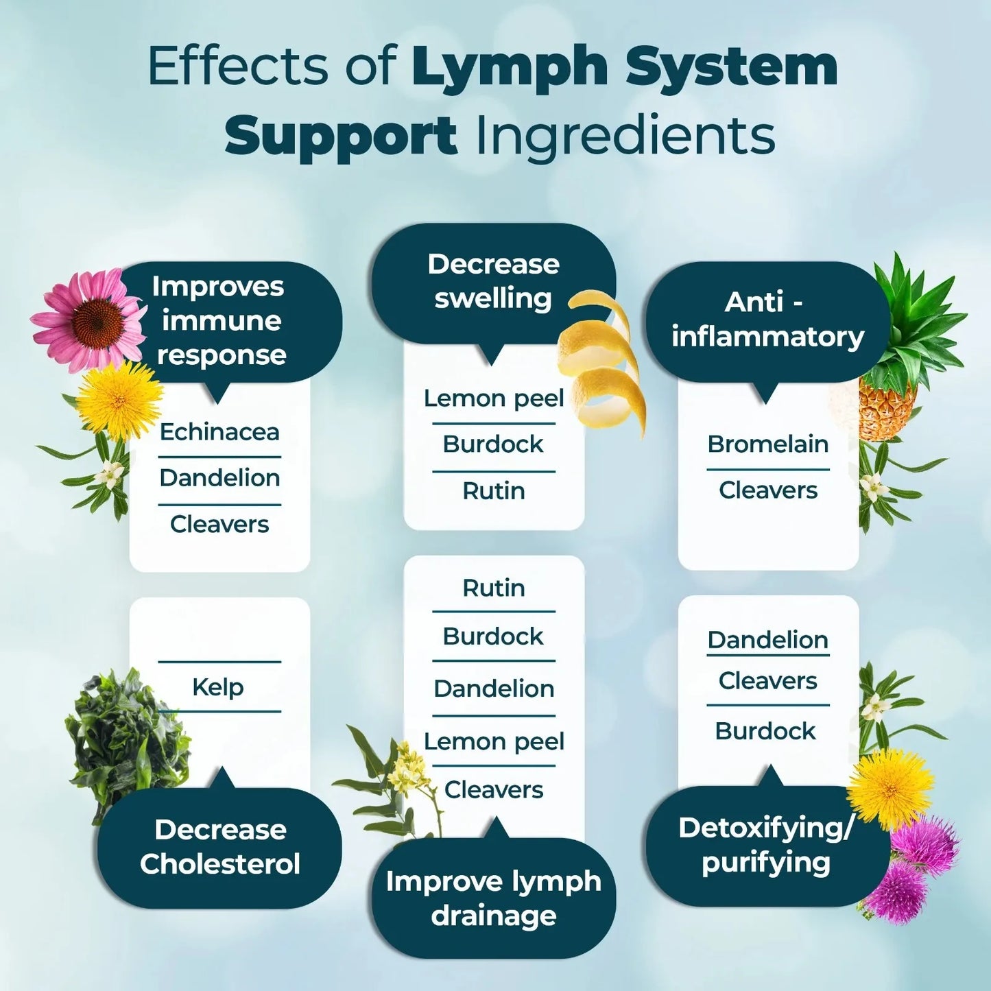 Lymphatic System Support